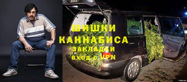 индика Арсеньев