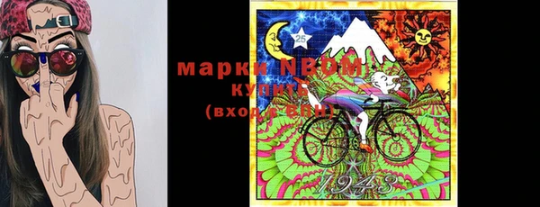 индика Арсеньев
