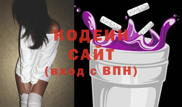 индика Арсеньев