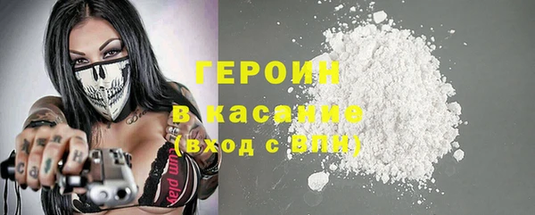 индика Арсеньев