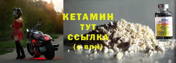 индика Арсеньев