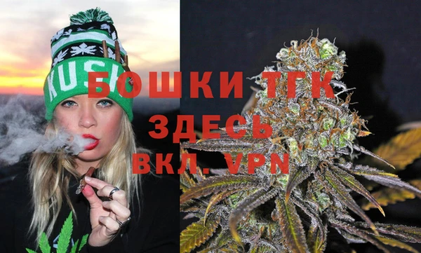 дмт Армянск