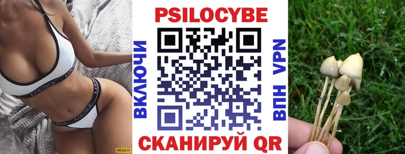 omg ссылка  Коломна  Псилоцибиновые грибы прущие грибы  цены  